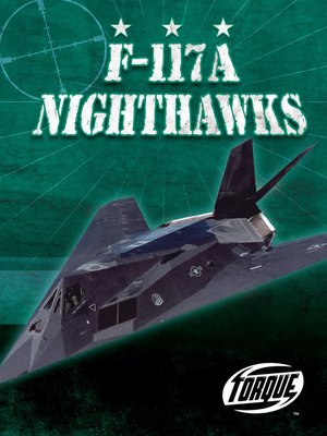 cover image of F-117A Nighthawks
